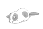 babykatt