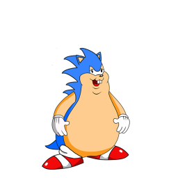 Sonic hang out