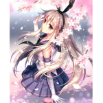 Shima’s Fan Group:3