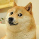 Doge Group(very epik, such wow, very poggerz)