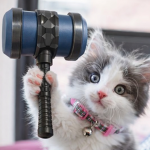 Frontier Furballs
