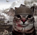 Catovian Empire