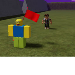 The Flag War