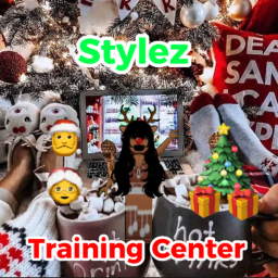 Stylez Training