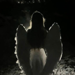 .faeriez