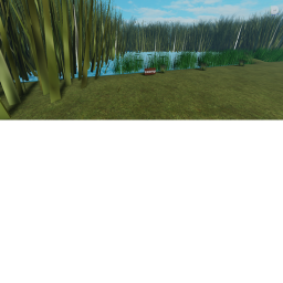 frog swamp (WIP)