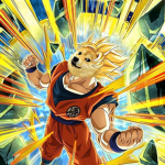 ELITE WARRIORS OF DRAGON BALL RAGE.