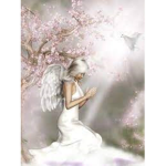 Angel Safe Zone