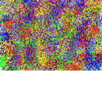 Who Likes Colors
