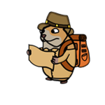 Adventurous Chomik