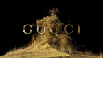 $$GUCCI SQUAD$$