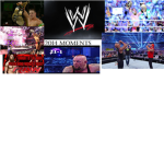 WWE    FANS wrestling