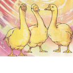 The Cult of the Golden Geese