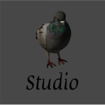 Голубинск Studio