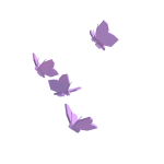 Frosted Butterflies