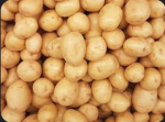 La team patate douce de Jardilande