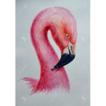 flamingo1_xo