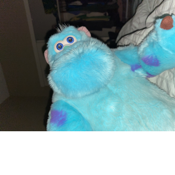 Survive the andrew tate