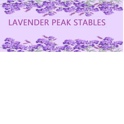 Lavender Peak Stables