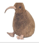 Dry kiwi
