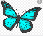 Bethany’s butterfly’s
