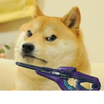 the royale doge (doge only)
