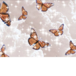 Da butterfly beauty!