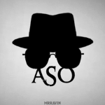 A.S.O - ANTI-Slender Organization