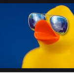 Ducks Will Take Over