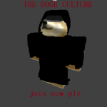The Doge Culture