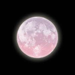 Pink Moonlights Squad