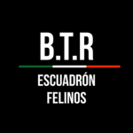 [BTR] | Escuadrón Felinos