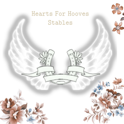 Hearts For Hooves Stables
