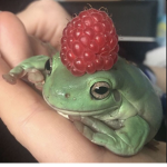 - ᴀᴅᴏʀᴇ -
