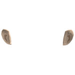 ears