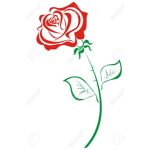 Lexi's Roses