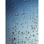 Squishy clan/rain