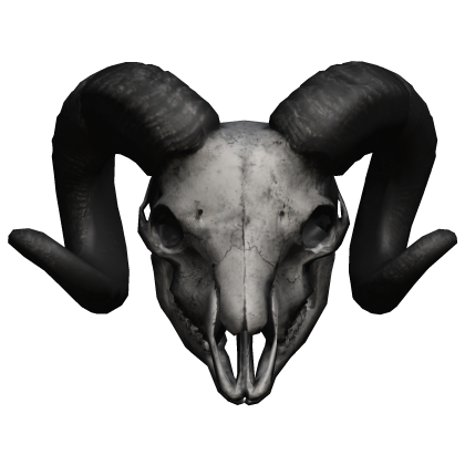 Black Ram Skull