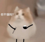 避难所交流区