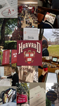 Harvard University Rp 'HUR'