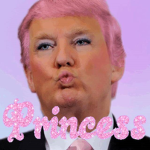 i snatched donald trumps wig