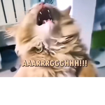 The coolest furry