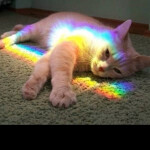 Tower of Outlandish Cluttered Structures