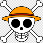 The Straw Hat Pirates???