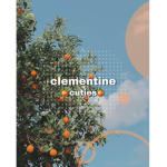 • clementine cuties •