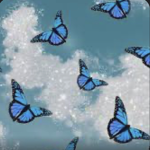 Butterfly baddie group