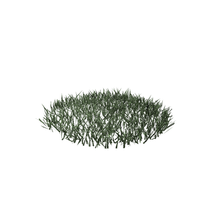 Tha Grass
