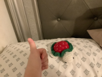 Samantaa55