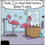 Flamingo for life :0