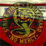 : Cobra Kai Karate